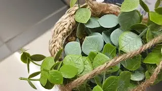 ✅А в ФИКС ПРАЙС Привезли💜Цветочные Горшки, Коврики Для Ванной, Новые Книги и Другие Товары💚