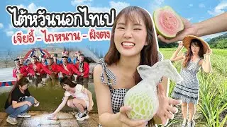 กินเที่ยวท่ามกลางธรรมชาติ 🇹🇼 เที่ยวไต้หวันนอกไทเป ชิมชา, เก็บเมล่อน, ปีนเขา, ทำพายสับปะรด | PetchZ