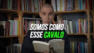 O Budismo diz que somos como este cavalo