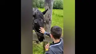 Воронежский государственный заповедник им. Пескова
