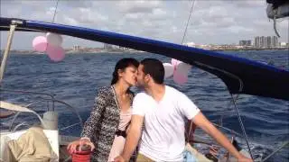דולפינים מול חופי הרצליה בלי-ים השכרת יאכטות