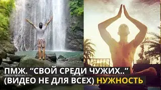 Иммиграция как поиск и создание своей нужности! #филиппины #русскиенафилиппинах #1boracay