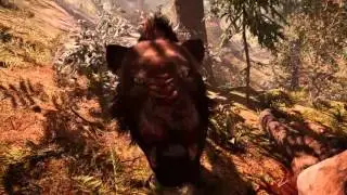 Far Cry Primal