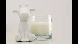 Maito