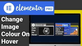Change Image Colour On Hover In Elementor. Card Hover Effects CSS