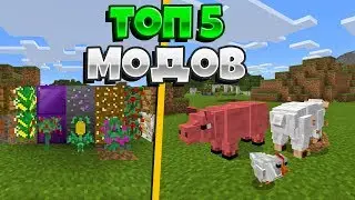 ТОП 5 МОДОВ ДЛЯ MINECRAFT PE 1.13.0.9! ЛУЧШИЕ МОДЫ!