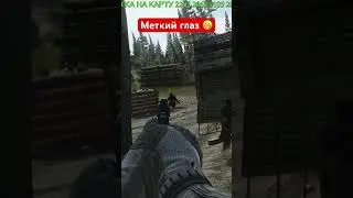 Метко #stream #escapefromtarkov #eft #pve