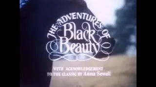 Black Beauty Compilation #1 - Action/Adventure/Fantasy, 2 Hours