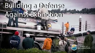 Building a Defense Against Extinction
