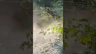 2104 вместо трактора