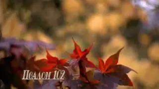 Псалом 102