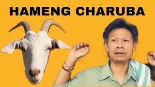HAMENG CHARUBA | repost
