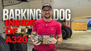 Power Transfer Unit or barking dog, what is it and how it works