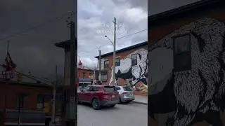 a daily vlog in the glebe (in ottawa, canada) #ditl #canadavlog #ottawa #shortsvlog
