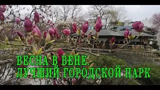 АВСТРИЯ. 26 Марта 2023.... Весенний день в Японском парке. Вена.