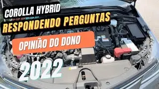 COROLLA HÍBRIDO 2022. RESPONDENDO PERGUNTAS! OPINIÃO DO DONO!