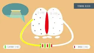 PN Junction Diode & Zener Diode