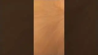 куда пропала сметанка?