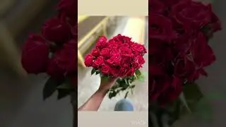I can buy myself flowers 🌹..#youtubeshorts  #shorts