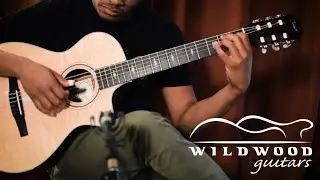 Taylor Guitars 312ce-N  •  Wildwood Guitars