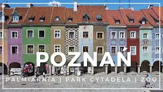 Poznań - czy jest tu coś poza Rynkiem i Koziołkami? TOP atrakcje & gdzie są najlepsze pyry?