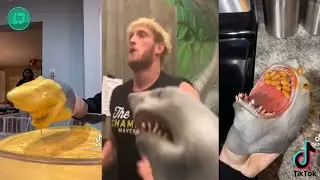 Shark Puppet Best TikTok Compilation 2020 | All Shark Puppet Funny Videos