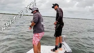 CRAZY HIGH Tide, how can we catch fish??