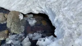 Живая водица