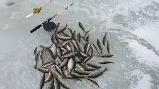 Рыбалка на балду. Ушково.