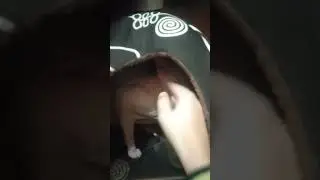шо ты маленький привет