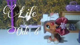 Lps: Life Episode #6
