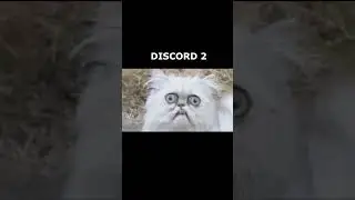 DISCORD 2