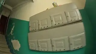 Собака встречает меня после 4+ недель больницы