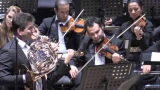 Wolfgang Amadeus Mozart – Horn Concerto No.4 in E Flat Major, KV 495