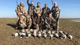 Охота на гуся 2017. Goose hunting. Охота в Калининграде.