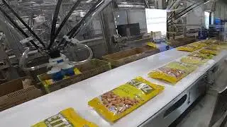 76184 BluePrint Automation (BPA) Case Packer Spider 100v