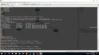 how to create & configure Private vlans on cisco switch community isolated vlans
