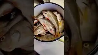 Копчёная рыбка
