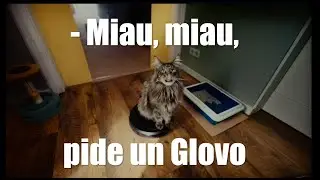 GLOVO - La reina de la casa dice Miau Miau - Anuncio 2024