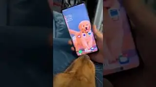 unlock popup phone with dog 👄😺