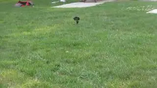 LOOK AT IT