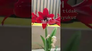 Bukan karena tidak diberi nikmat tapi karena tidak pandai bersyukur  #quotes