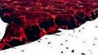 B-Nario-Se No Che Vita e'