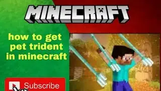 how to get pet trident in minecarft