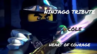 Heart Of Courage - Ninjago (Cole) Tribute