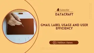 Google  Gmail Label Usage and User Efficiencyexploring data
