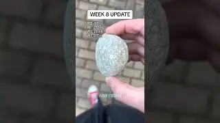 Kicking a stone for two years 