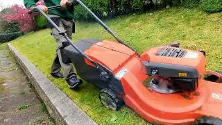 Satisfying OVERGROWN grass bank