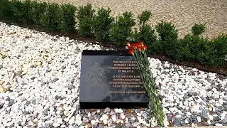 Янтарь Холл Светлогорск
