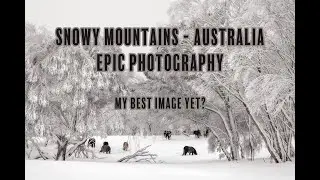 SNOWY MOUNTAINS AUSTRALIA - Wildlife & Landscape Photography